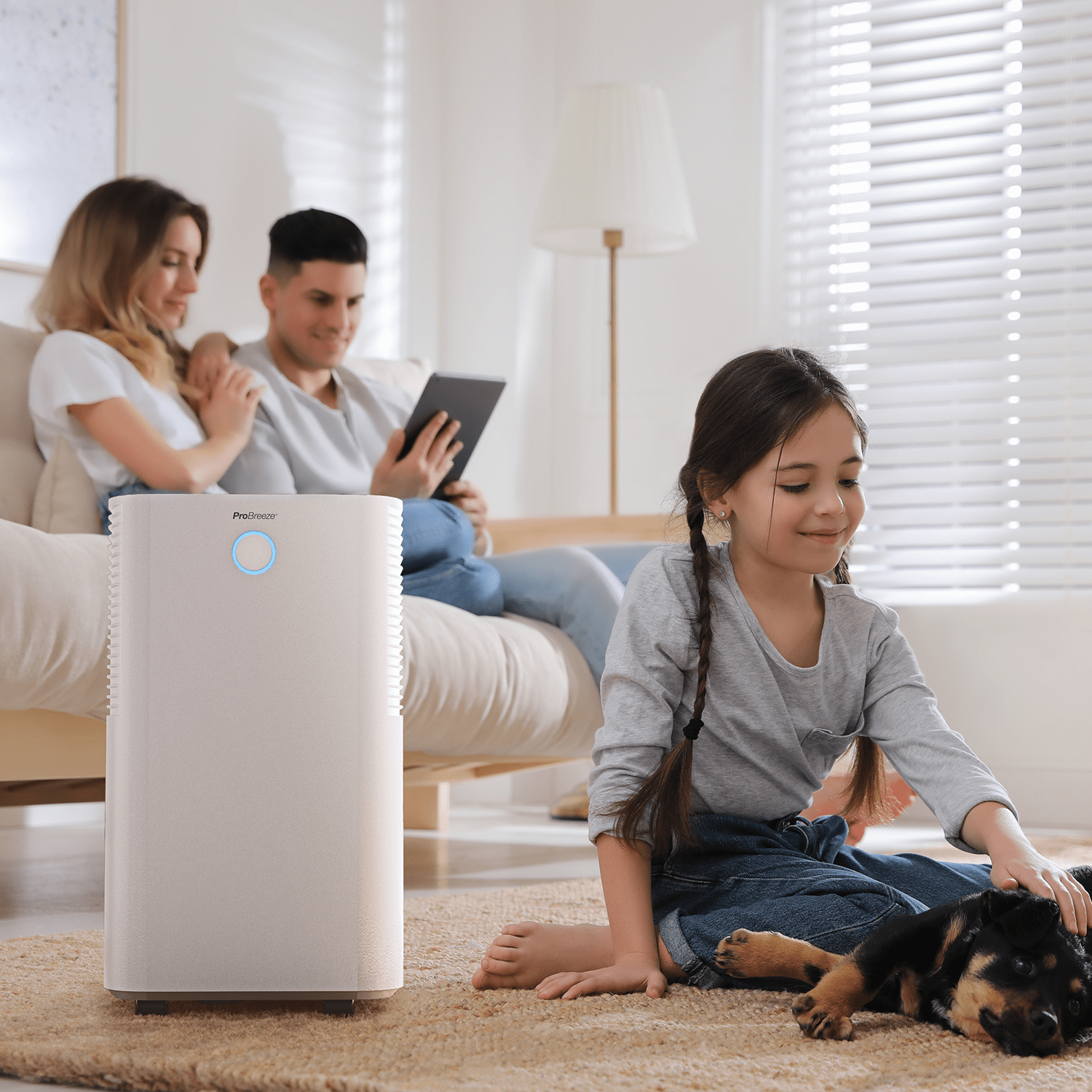 reconditionné – omnidry déshumidificateur silencieux 12 l avec extraction maximale reconditionné – omnidry déshumidificateur silencieux 12 l avec extraction maximale
