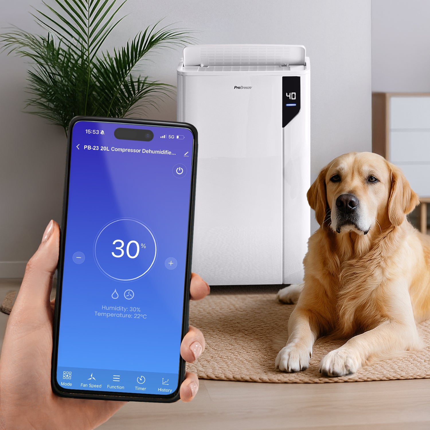 déshumidificateur premium 20 l avec mode séchage du linge spécial en un clic et contrôle par application intelligente déshumidificateur premium 20 l avec mode séchage du linge spécial en un clic et contrôle par application intelligente